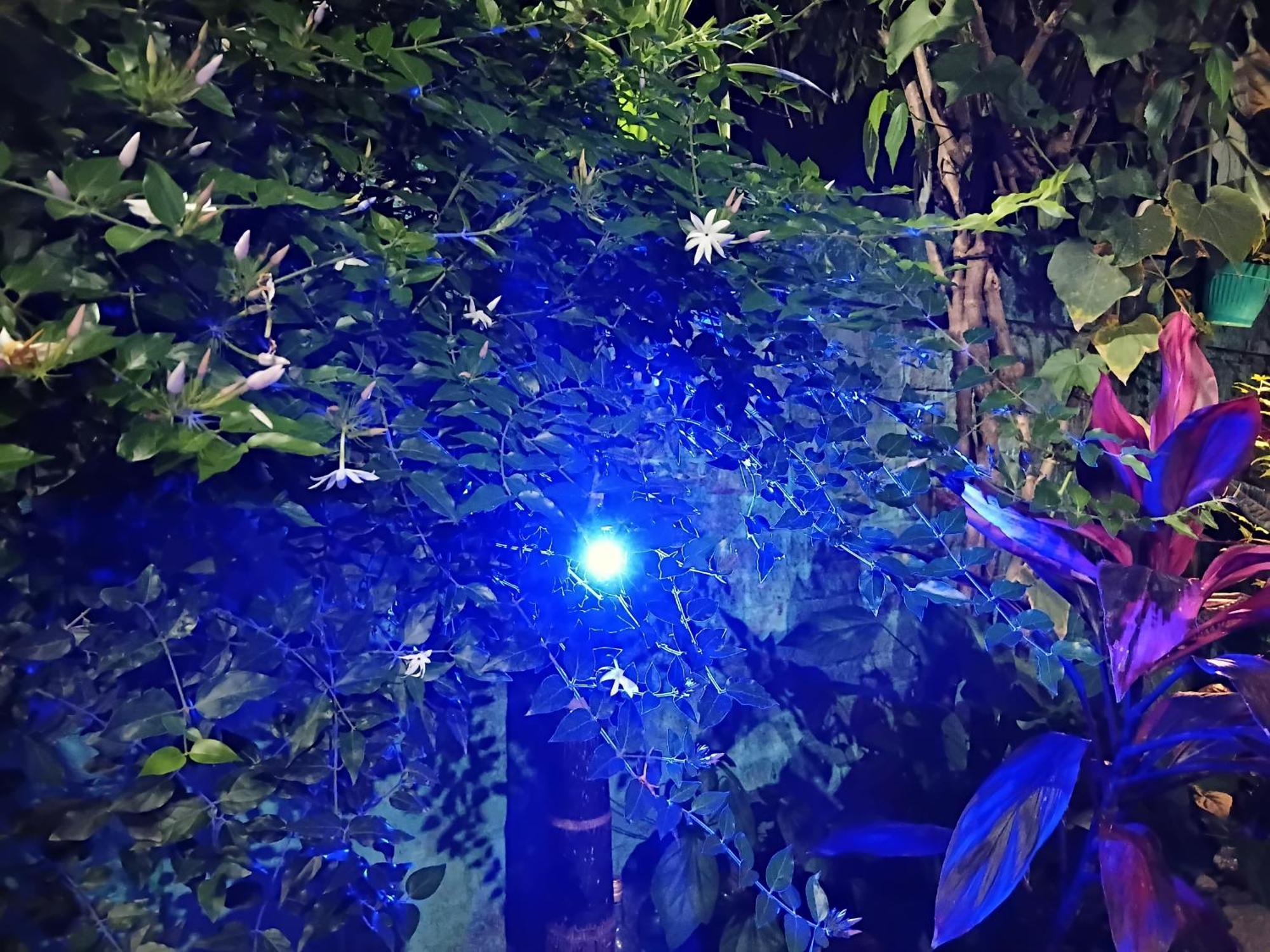 Green View Homestay Siliguri Esterno foto
